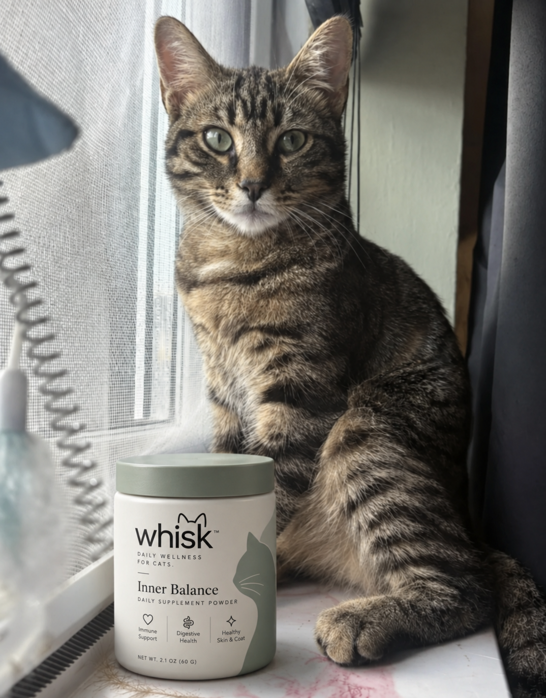 Customer cat with Whisk