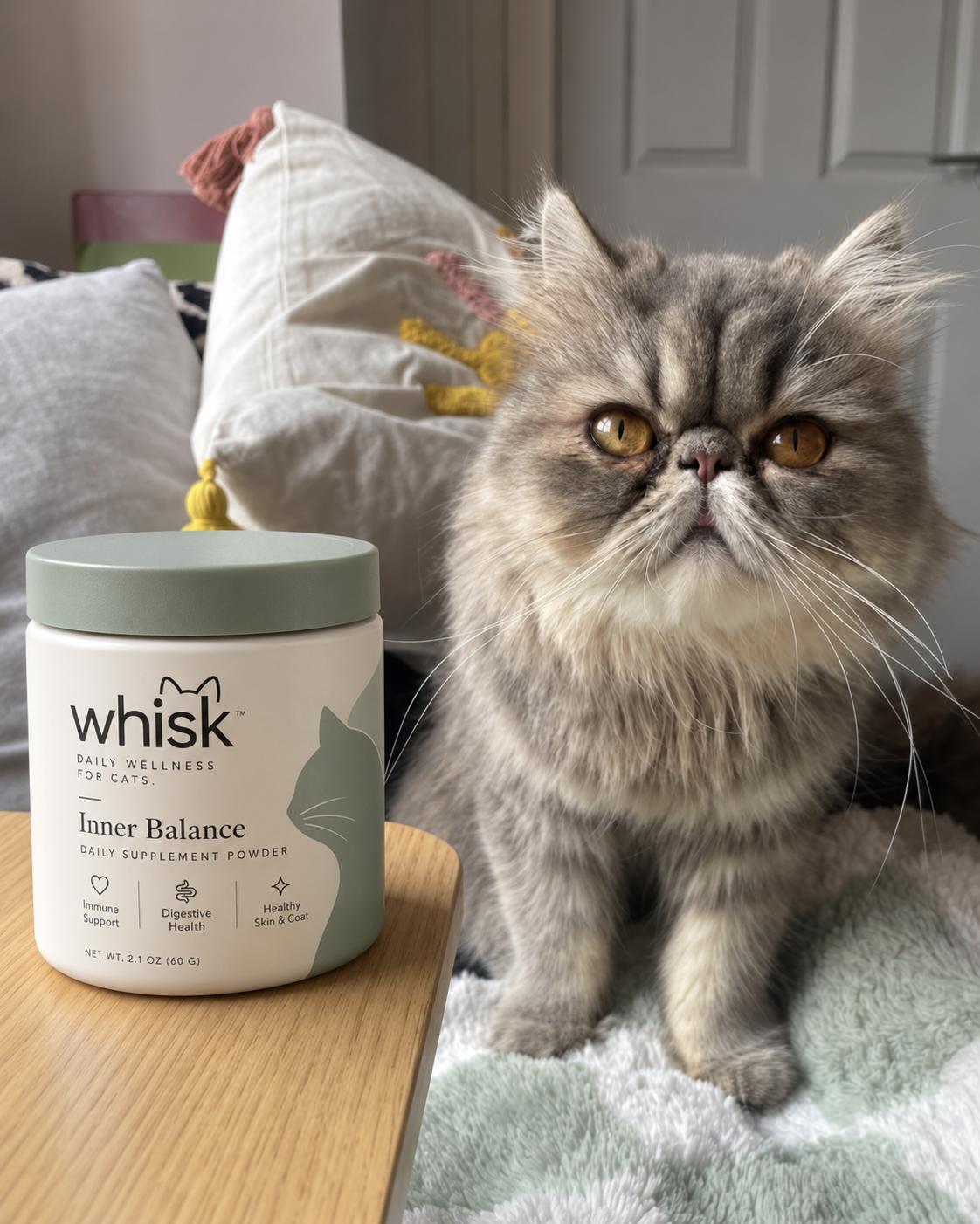 Customer cat with Whisk